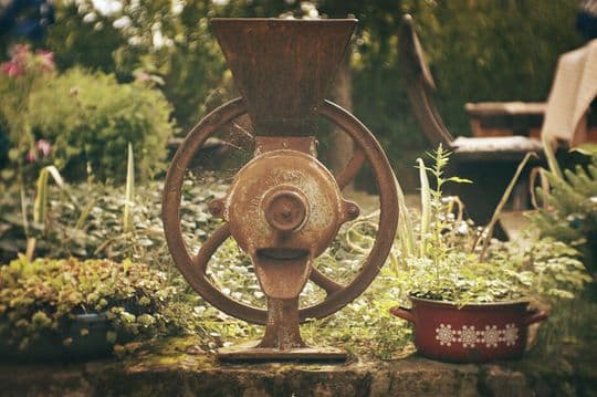 Nečekej, jednej! Smysl života versus minulý život